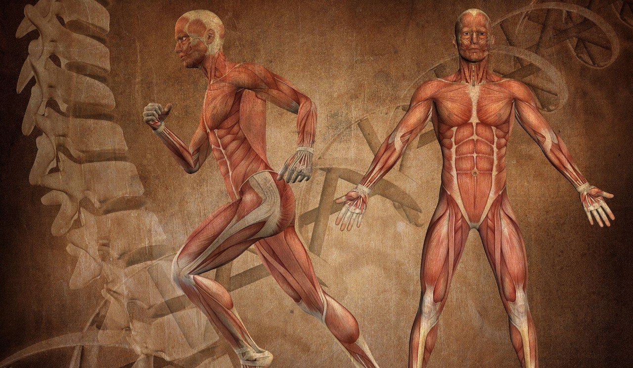 Afyon Kas İskelet Sistemi Tedavisi: Modern Fizik Tedavi Yaklaşımı